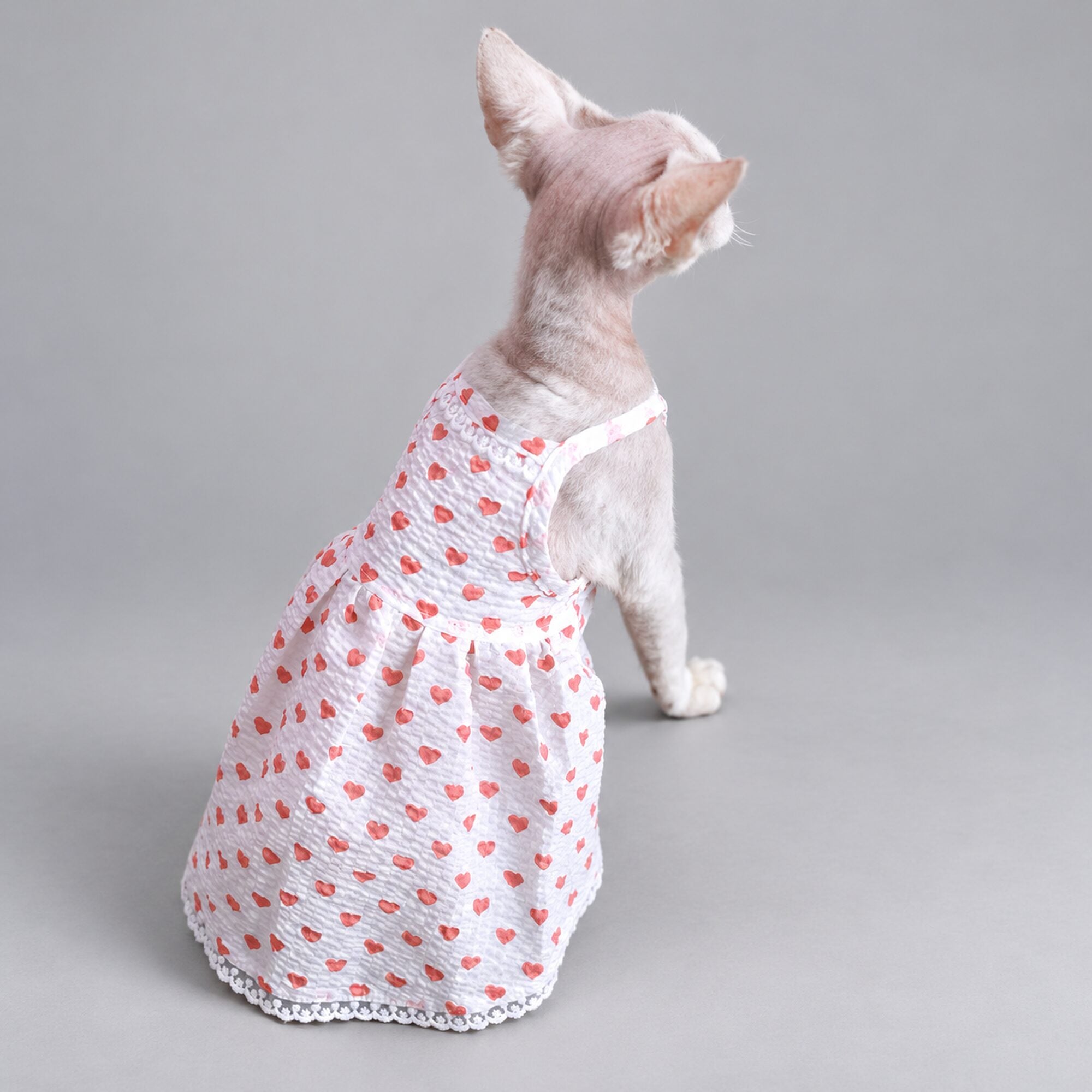 Handmade Pink Heart Cat Dress