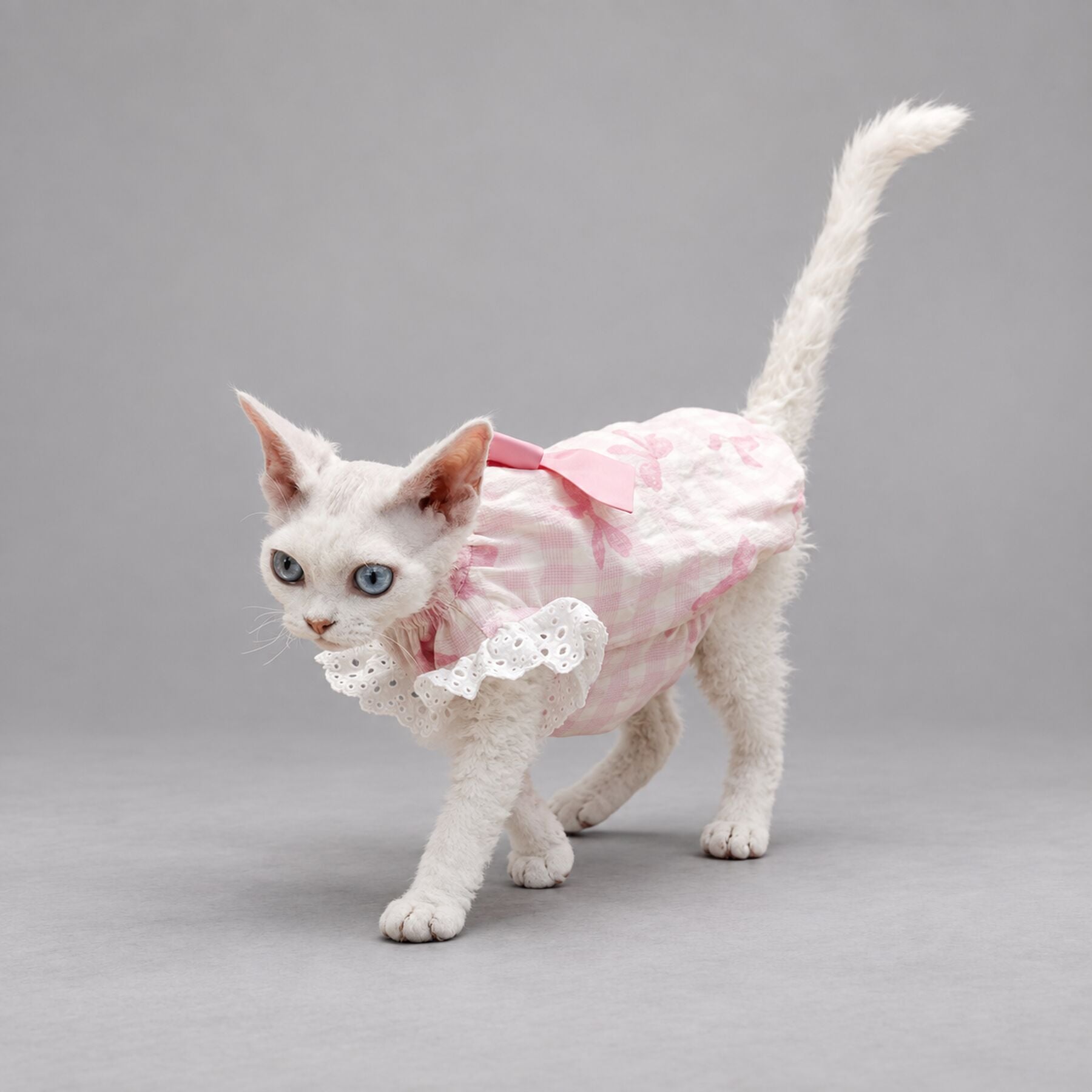 Pink Bow Cat Dress