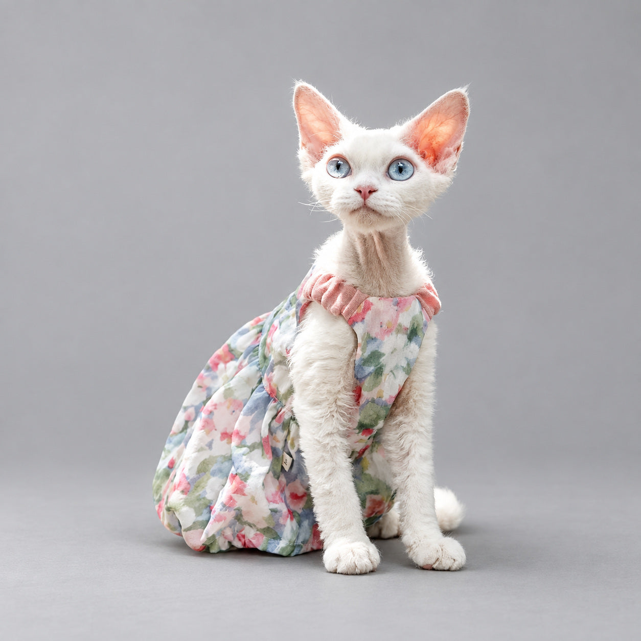 Floral Cotton Cat Dress