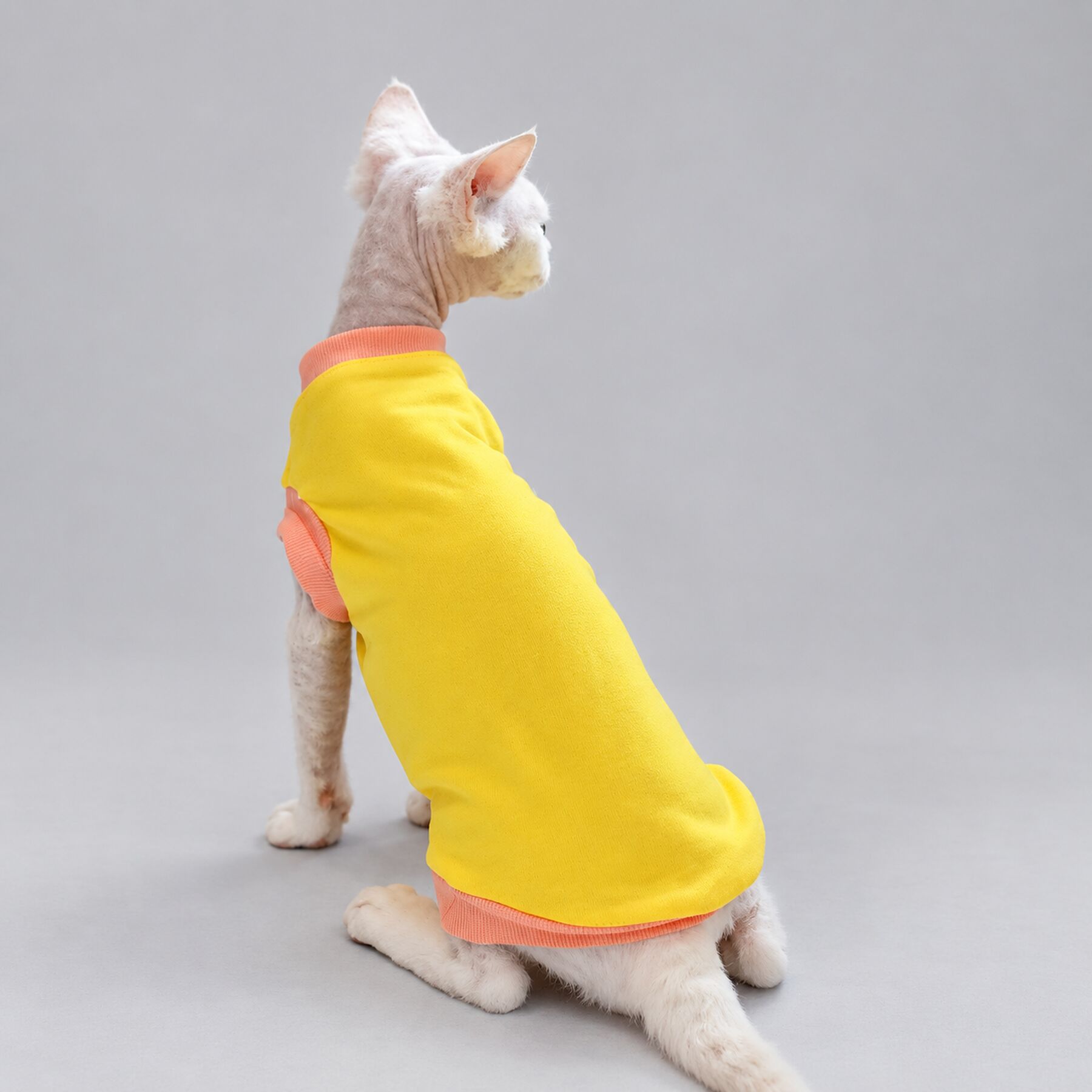 Yellow Stripe Sphynx Cat Shirt