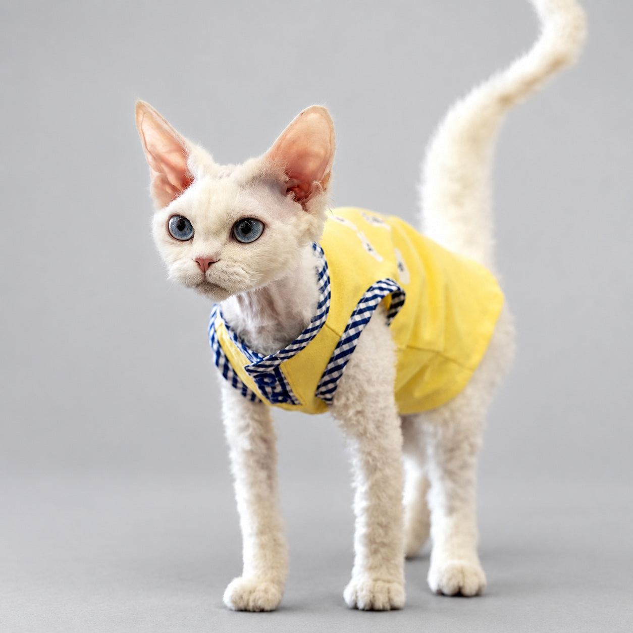Handmade Yellow Cotton Cat Dress