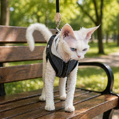 Sphynx-Katzengeschirr und Leinen-Set, hautfreundliches Denim-Westengeschirr für haarlose Katzen, leicht anzuziehendes Hoodie-Katzengeschirr mit integrierter Leine