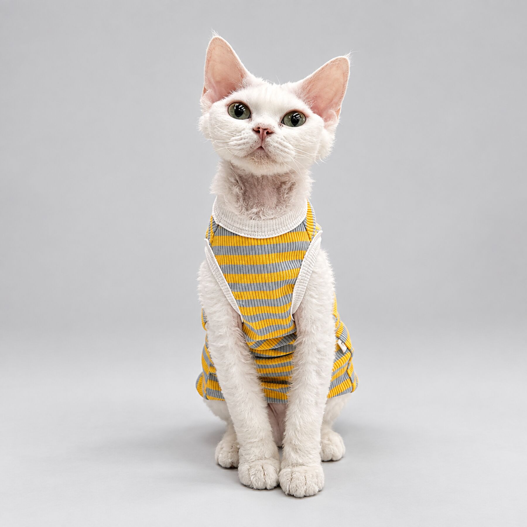 Yellow Stripe Sphynx Cat Shirt