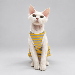 Yellow Stripe Sphynx Cat Shirt