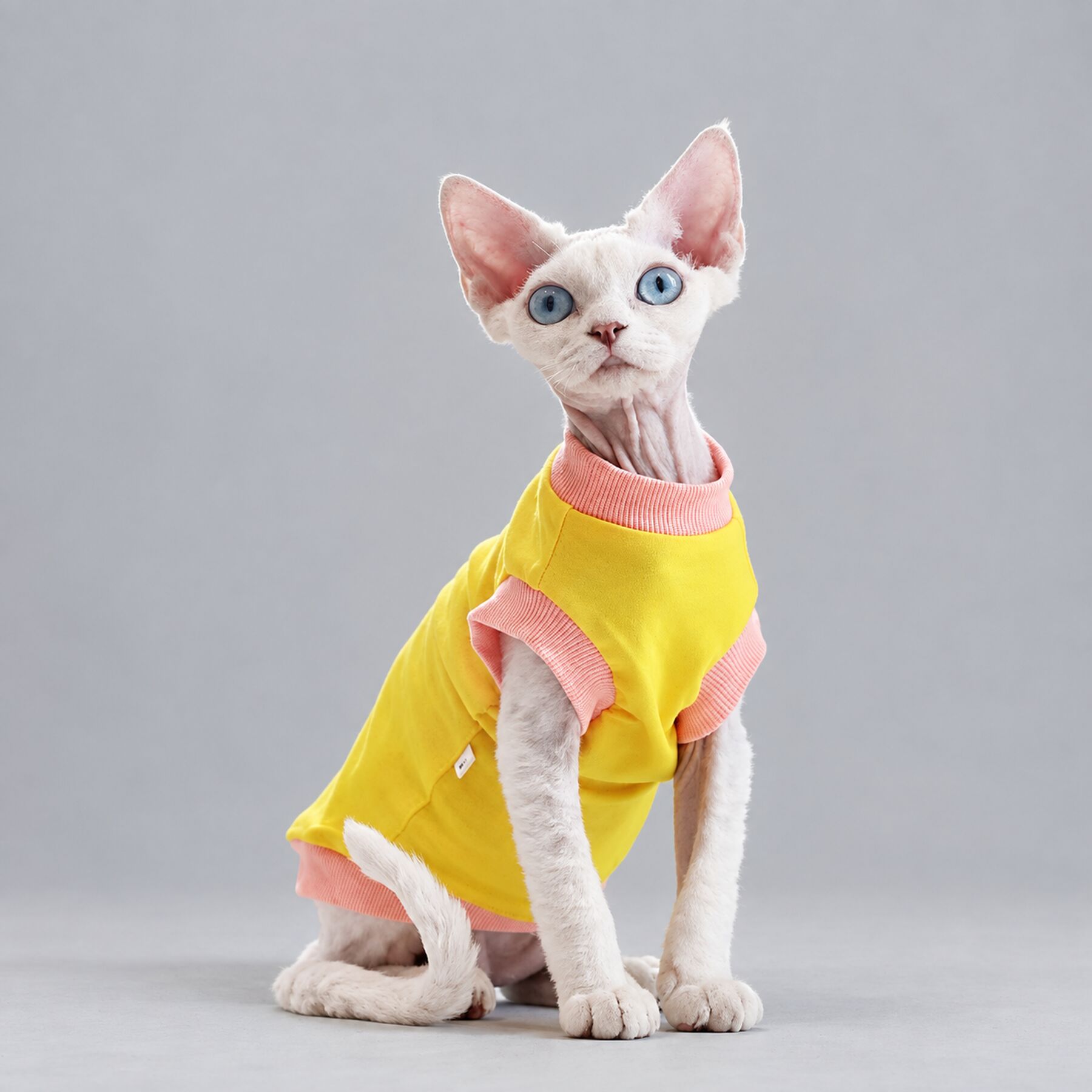 Yellow Stripe Sphynx Cat Shirt