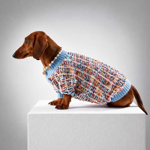 Dog Cardigan Sweater – Luxury Knit for Small Breeds
