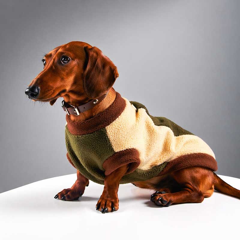 Small Dog Fleece Vest – Warm Pullover for Dachshund & Small Breeds