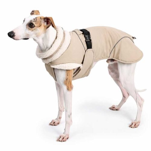 Dog Turtleneck Jacket – Waterproof Sherpa-Lined Outdoor Winter Coat