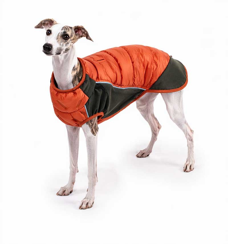 Dog Puffer Vest – Lightweight Down-Filled Windproof Winter Coat