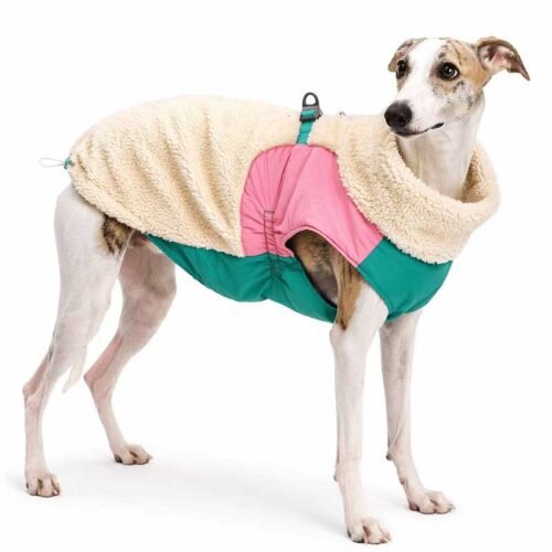 Dog Winter Jacket – Warm Sherpa Colorblock Zip Coat