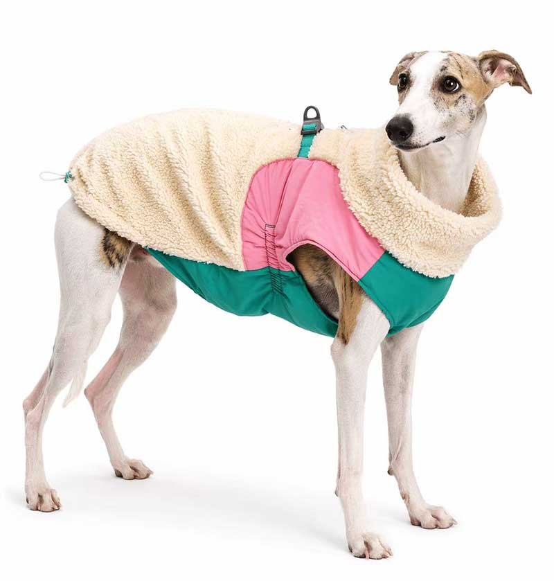 Dog Winter Jacket – Warm Sherpa Colorblock Zip Coat