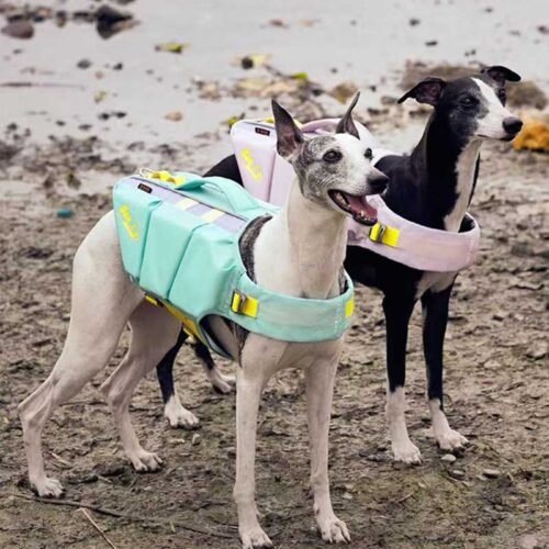 Dog Life Jacket – High Buoyancy Swimming Vest with Rescue Handle
