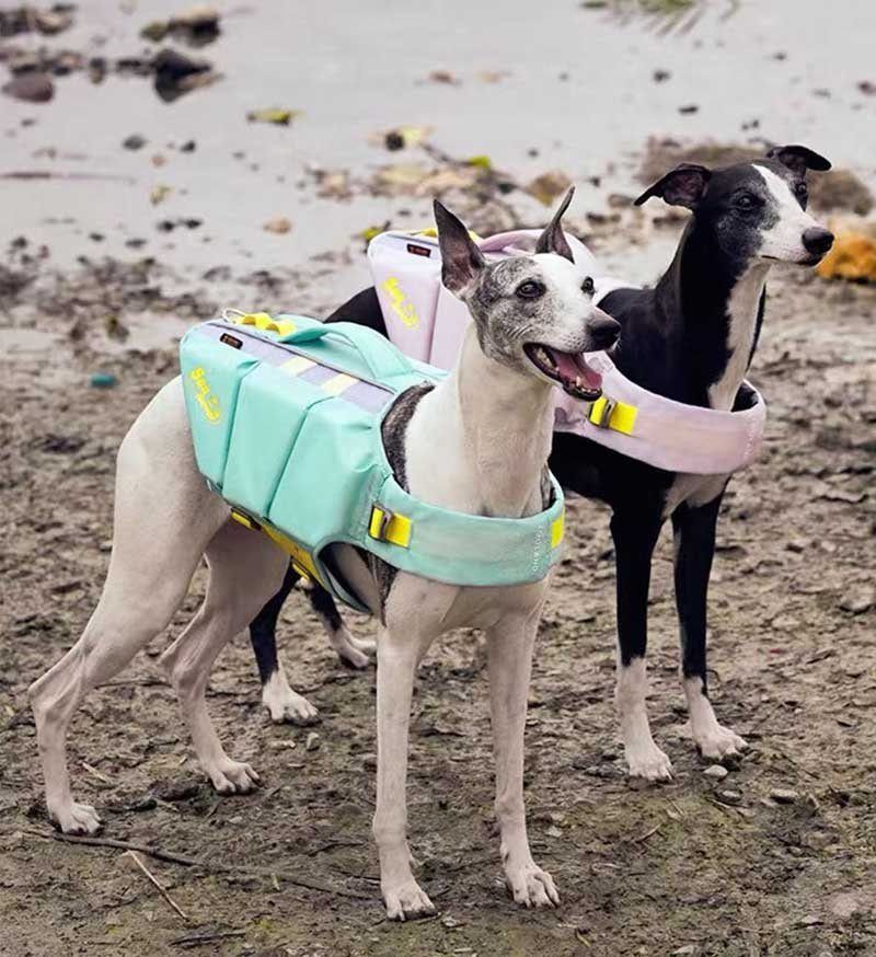 Dog Life Jacket – High Buoyancy Swimming Vest with Rescue Handle