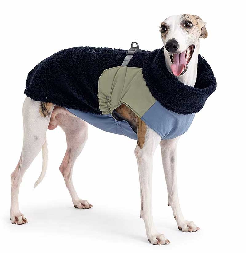 Dog Winter Jacket – Warm Sherpa Colorblock Zip Coat