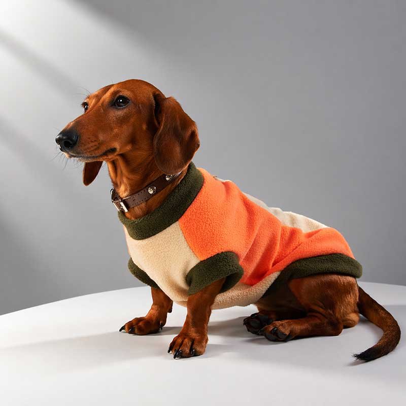 Mini-Doberman-Fleece-Jumpsuit Small Dog Fleece Vest – Warm Pullover for Dachshund & Small Breeds