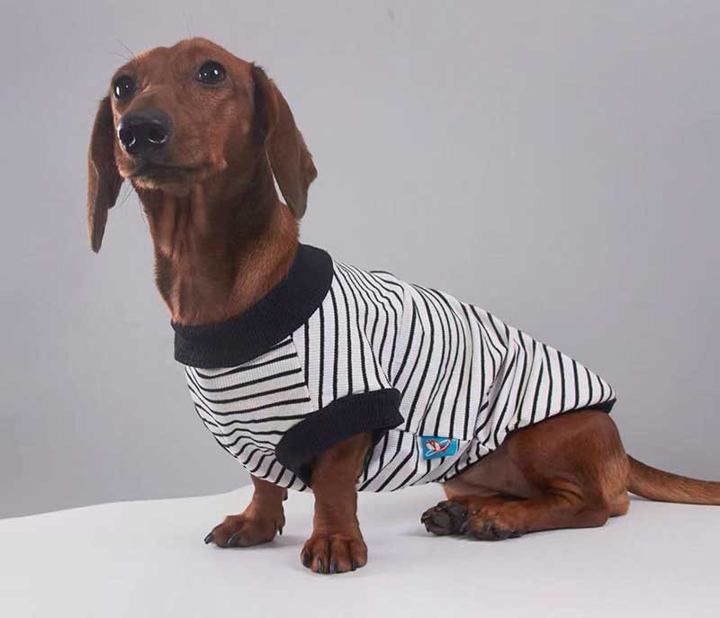 Striped Dog Shirt – Sleeveless Tank Top for Small Breeds