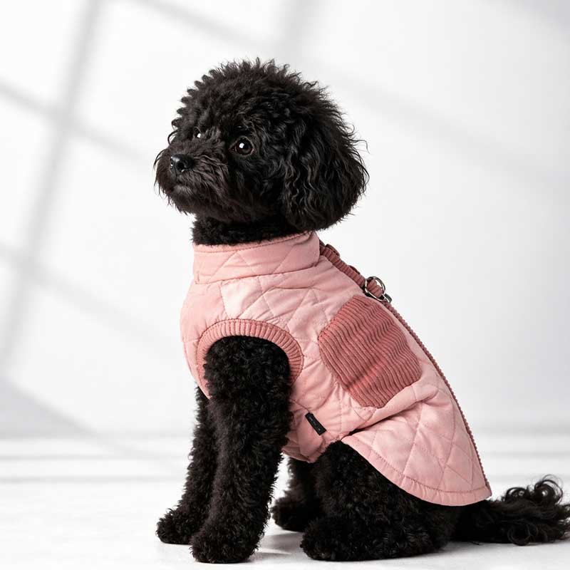 Padded Dog Vest – Warm Quilted Winter Coat with Built-In Leash Ring