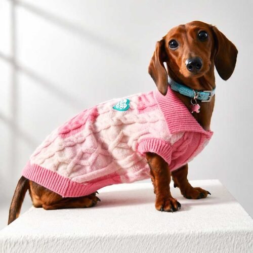 Cable Knit Dog Sweater – Polo Collar Pullover for Small Breeds