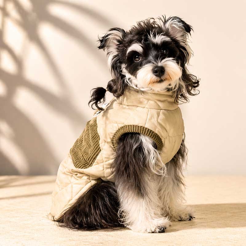 Padded Dog Vest – Warm Quilted Winter Coat with Built-In Leash Ring
