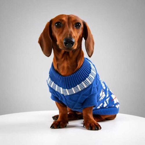 Fair Isle Dog Sweater – Knit Pullover for Small Breeds