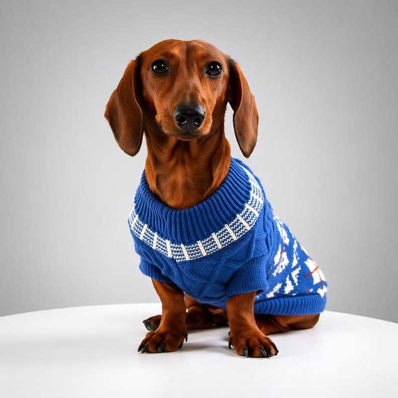 Fair Isle Dog Sweater – Knit Pullover for Small Breeds