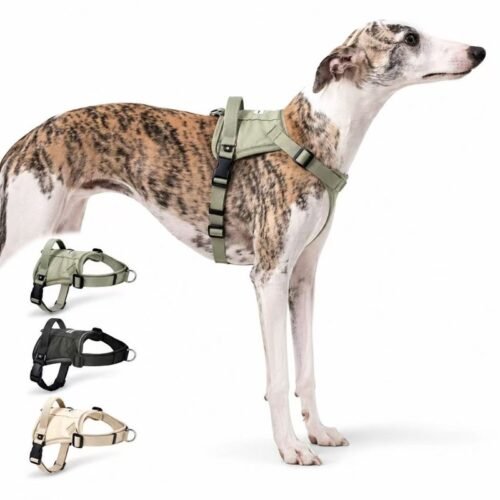 No Pull Dog Harness with Handle – Adjustable, Breathable, Quick-Release Pet Harness for Small Medium Large Dogs