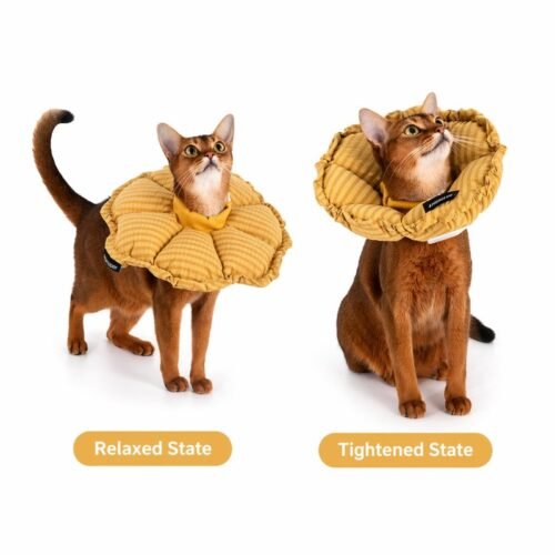 Soft Cat Cone Collar – Flower E-Collar for Recovery After Surgery
