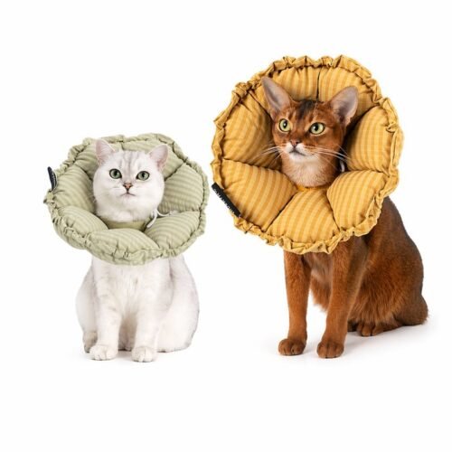Soft Cat Cone Collar – Flower E-Collar for Recovery After Surgery