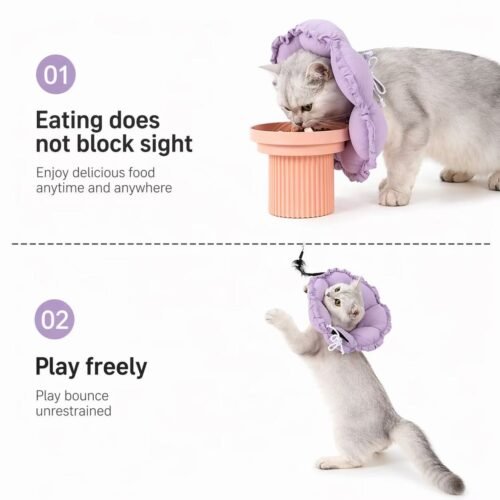 Pet Donut Collar – Soft Recovery E-Collar After Surgery for Cats & Dogs