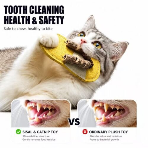 Loofah Cat Chew Toy – Slipper Shape Silvervine & Matatabi Dental Toy for Cats