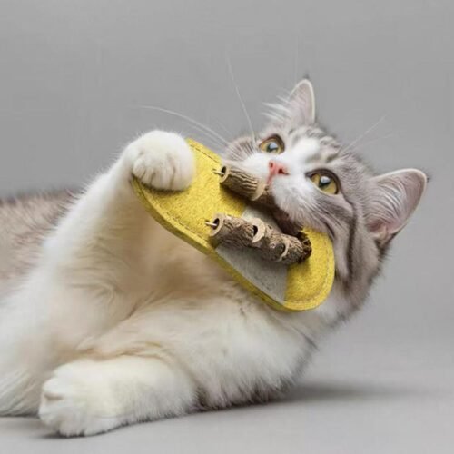 Loofah Cat Chew Toy – Slipper Shape Silvervine & Matatabi Dental Toy for Cats