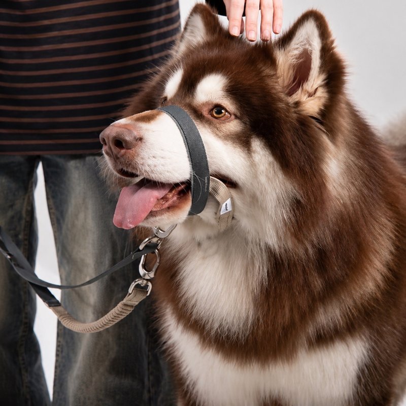 Humane Dog Muzzle for Medium & Large Dogs