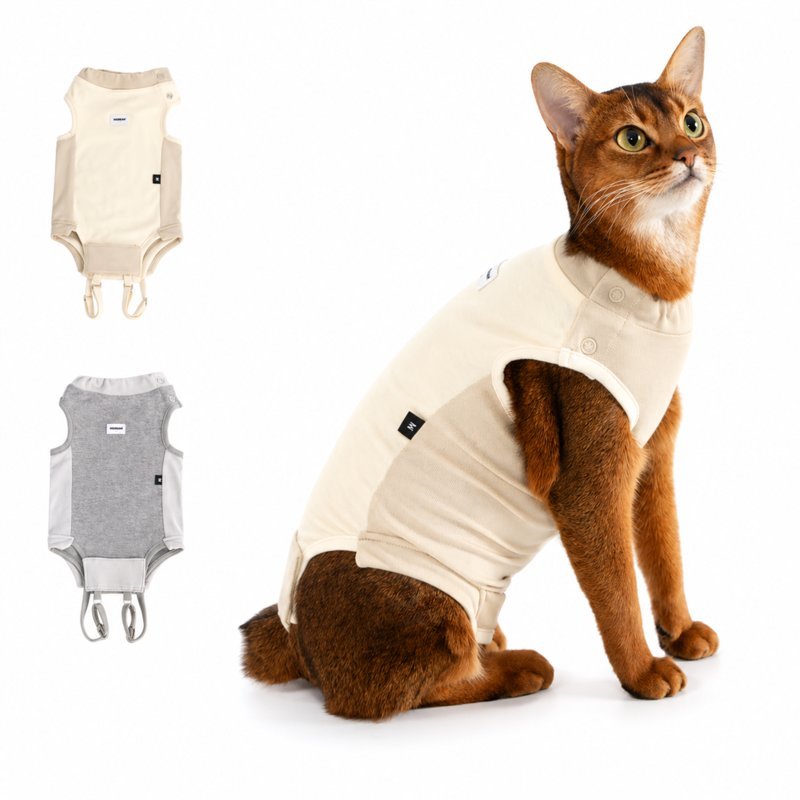 Cat Recovery Suit – Breathable Surgical Onesie After Spay & Abdominal Wound Car