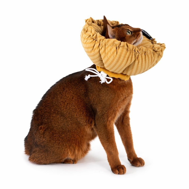 Soft Cat Cone Collar – Flower E-Collar for Recovery After Surgery