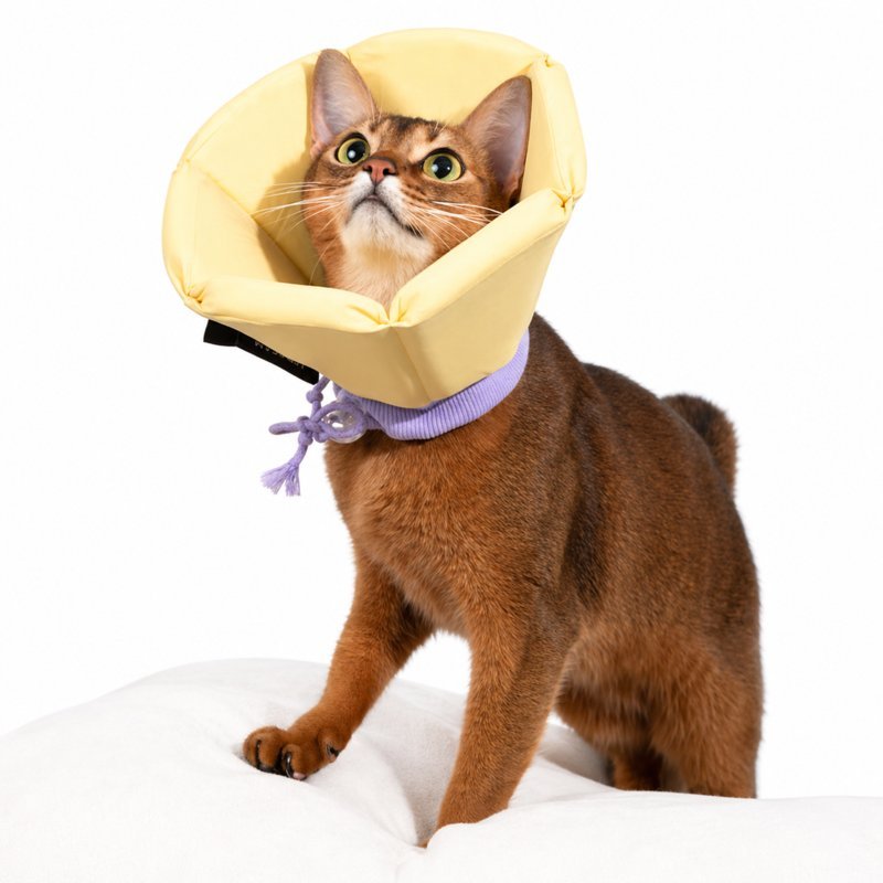 Dog Donut Collar – Soft Recovery E-Collar After Surgery for Dogs & Cats