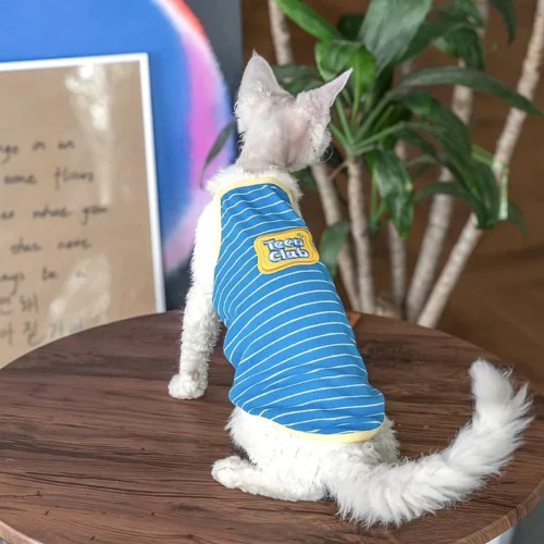 Breathable Sphynx Cat Vest Shirt – Soft Lightweight Clothes for Hairless Cats