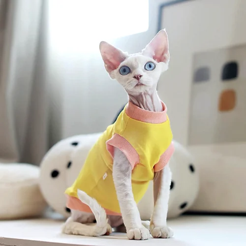 Yellow Sphynx Cat T-Shirt – Soft Cotton Clothes for Hairless Cats