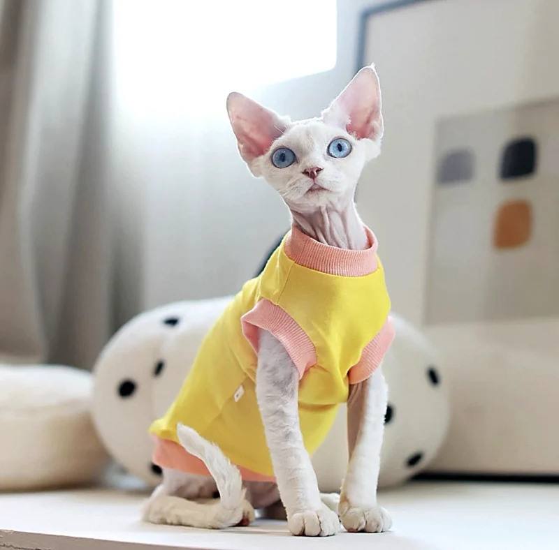 Yellow Sphynx Cat T-Shirt – Soft Cotton Clothes for Hairless Cats
