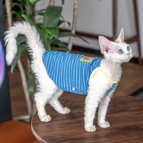 Breathable Sphynx Cat Vest Shirt – Soft Lightweight Clothes for Hairless Cats