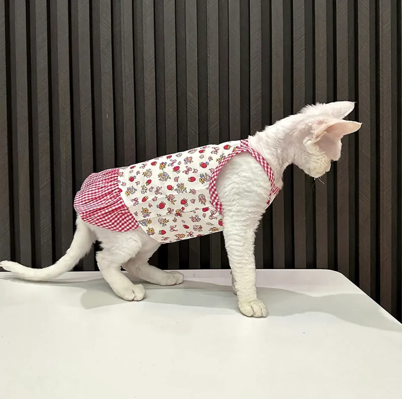 Patchwork Sphynx Cat Dress – Soft Clothes for Hairless Cats