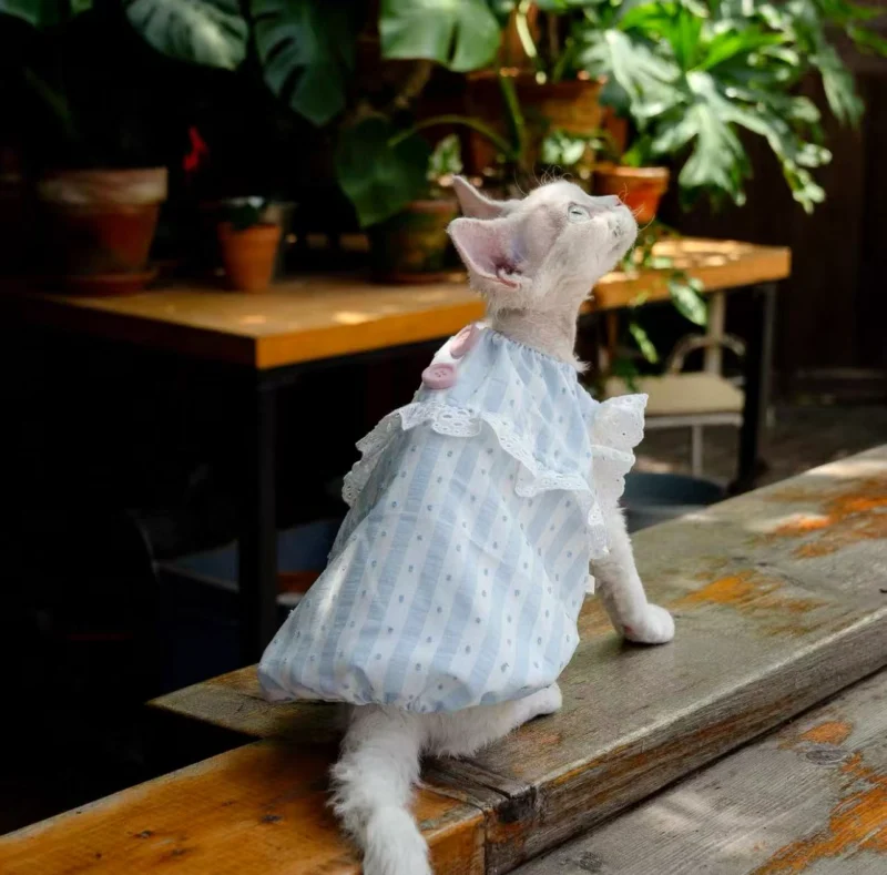 White Lace Sphynx Cat Dress – Soft Clothes for Hairless Cats