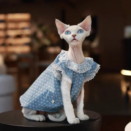 Polka Dot Sphynx Cat Dress – Soft Lightweight Clothes for Hairless Cats