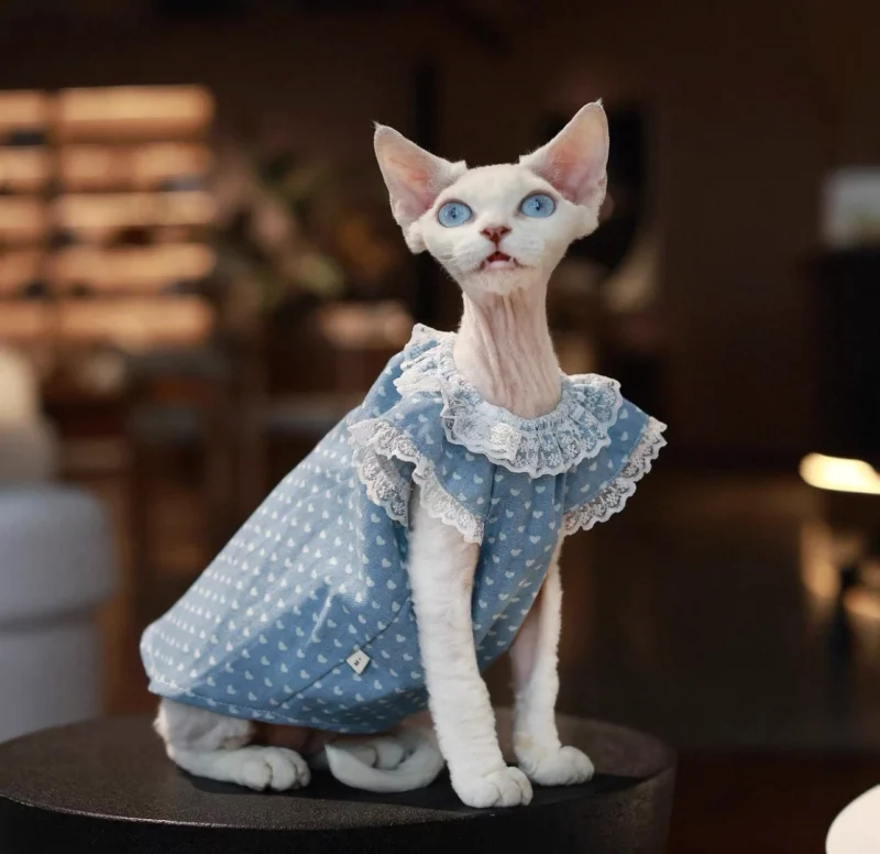Polka Dot Sphynx Cat Dress – Soft Lightweight Clothes for Hairless Cats