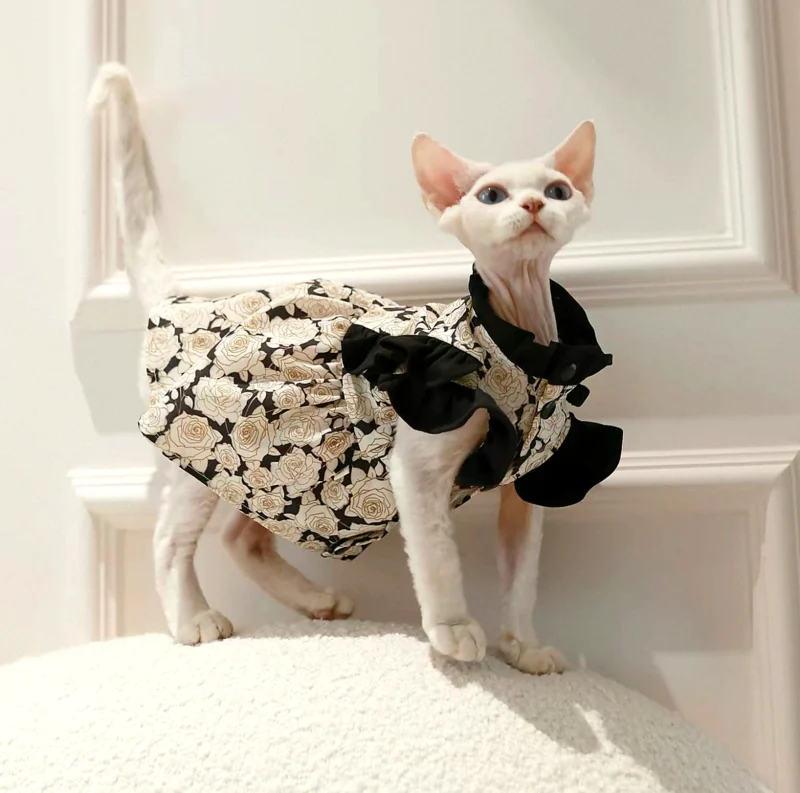 Lightweight Sphynx Cat Dress – Soft Ribbon Clothes for Hairless Cats