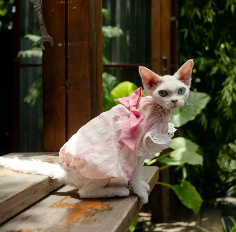 Pink Stripe Sphynx Cat Dress – Soft Clothes for Hairless Cats