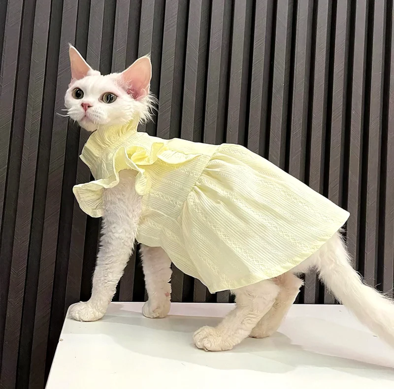 Lightweight Sphynx Cat Dress – Soft Clothes for Hairless Cats