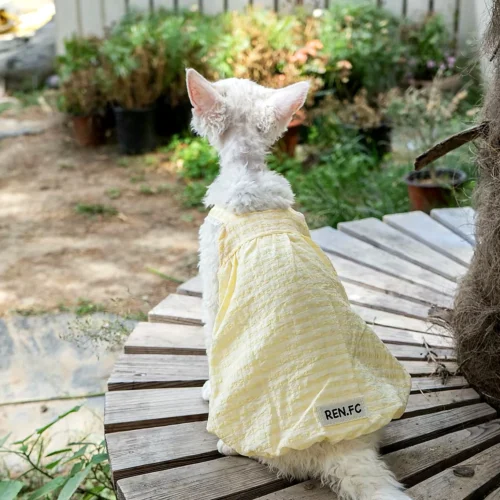 Lightweight Sphynx Cat Dress – Soft Clothes for Hairless Cats