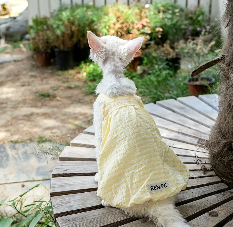 Lightweight Sphynx Cat Dress – Soft Clothes for Hairless Cats