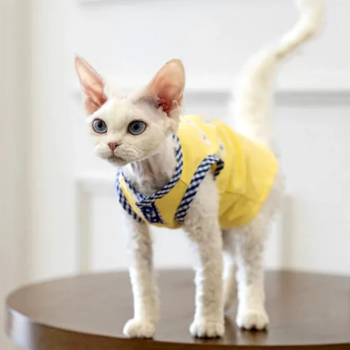 Breathable Sphynx Cat Vest Shirt for Hairless Cats