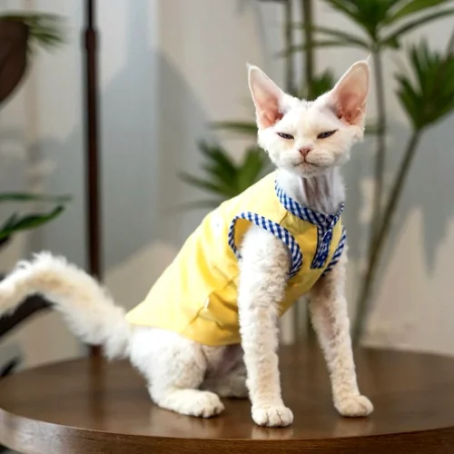 Breathable Sphynx Cat Vest Shirt for Hairless Cats